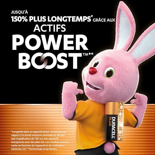 AA Plus Piles Alcalines (Lot de 20) 1.5V, LR06