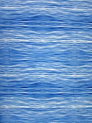 Danscapes Water Fabric Sold by the Yard