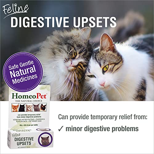 HomeoPet Feline Digestive Upsets, Natural Digestive Supplement for Cats