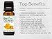 Biofinest Calendula (Marigold) Organic Oil - 100% Pure, Natural, Cold-Pressed - Premium Quality - Best Moisturizer For Hair, Face & Skin - Boost Recovery - FREE E-Book (10ml)