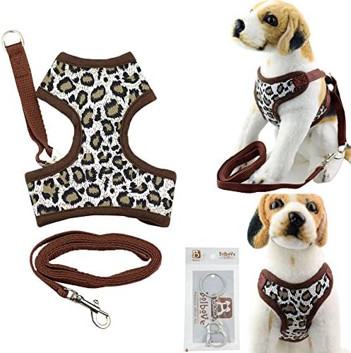 Bolbove Cute Pet Adjustable Mesh Harness and Leash Set for Small Dogs & Cats