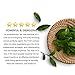 【Tea Tree Essential Oil】Yeelen Wax Warmer Essential Hard Wax Hair Removal Kit Electric Wax Heater for Face, Bikini Area, Legs with 10 Wax Applicator Sticks & 5 Wax Warmer Collar