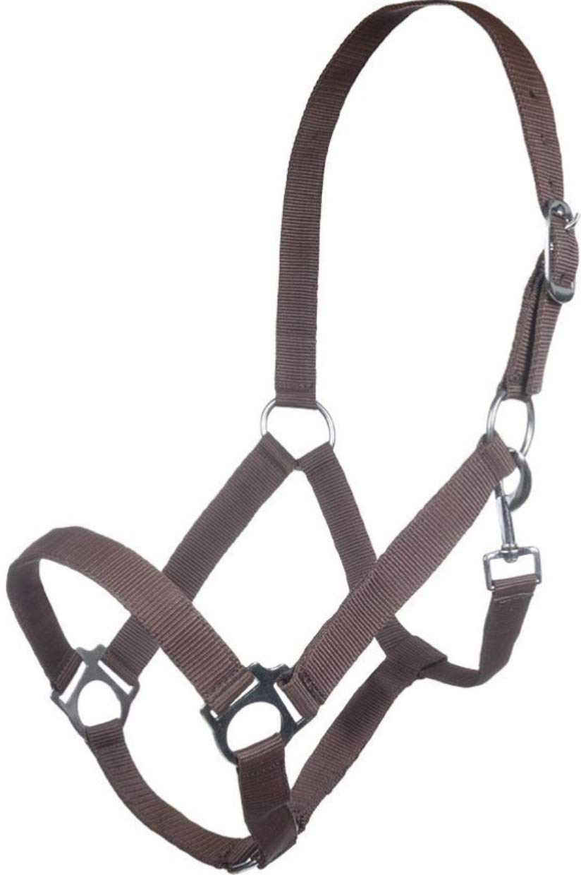 Hkm Hkm 4057052242410 Headcollar Innsbruck-2100 Dark Brown Thoroughbred