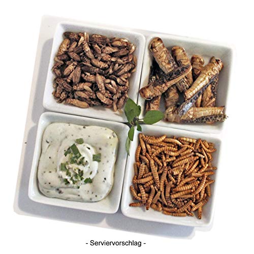Essbare Insekten Mischung von 'SNACK insects' - 25g Insekten zum Essen - Grillen, Heuschecken & Mehlwürmer – Bild 3