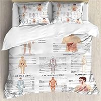 shirlyhome Bedding 3 Piece Bed Sheet Set Human Anatomy Fleece Throw Blanket Complete Chart of Different Organ Body Structures Cell Life Crisp Bed Linen Twin