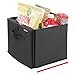 Swiss+Tech ST80110 Expandable Cargo Storage Organizer Bin for Cars/Trucks/SUVs/RVs - Black