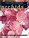 Orchids by