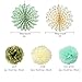 SUNBEAUTY Mint Cream Gold Paper Pom Poms Flowers 10pcs Gold Dot Paper Fans Collection Wedding Bridal Shower/ Bachelorette Party Decorations