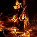 Joomer Decorations 20 LED 3D Pumpkin Halloween Lights, Warm White