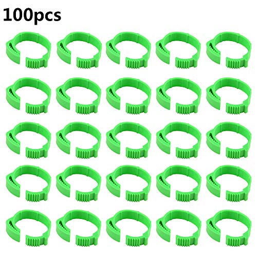 Shunfaji 100 Stück Poultry Beinringe, Klemmringe Verstellbarer Hühner-FuÃring, Ring zur Kennzeichnung von Geflügel mit Clips für Farm & Ranch Ringe (Grün) – Bild 7