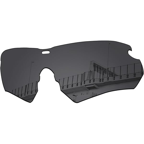 Amazon.com: Replacement Lens, Smoke Gray : Tools & Home Improvement