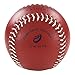 WILDYAK ProNine Weighted Softball for Pitching Practice 12 Inch (10 Oz.) Ball