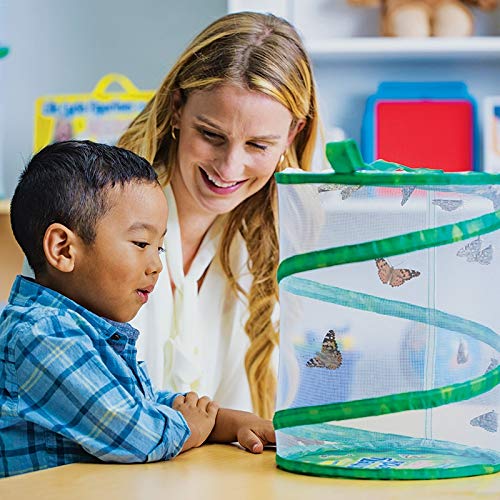 Insect Lore Butterfly Garden Habitat - Washable, Reusable, Folds Flat - Medium 12 Inch Butterfly Growing Habitat