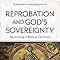 Reprobation and God's Sovereignty: Redeeming a Biblical Doctrine ...