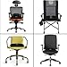 Tadge Goods Seat Donut U Cushion For Office Chair – Supports Lower Back, Tailbone, Sciatic Nerve, and Coccyx Pain - Orthopedic Memory Foam | Universal Car, Truck, Vehicle & Office Use