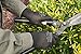 Lakeland 7-2506 SpiderGrip Lightweight Polyester Latex Dipped Glove, Work, X-Large, Black (12 Pair)