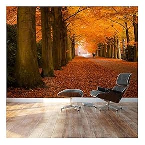 Autumn Orange leaved Trees line Path - Landscape - Wall Mural, Removable Sticker, Home Decor - 66x96 inches