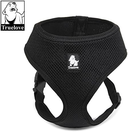 Purr Multi-Colored Lockable Cat Harness, Safe, Adjustable, Lock Secure, All Weather, Pet Vest, Outdoor
