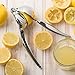 VITAUS Lime Press – Lemon Squeezer – Citrus Juicer, Premium Quality High, Stainless Steel, Convenient Hand Juicer, Silver Colour (2.4 x 1.8 x 8.4 inch) - Black Friday Discount