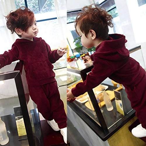 Minisoya Toddler Baby Boy Girls Warm Velvet Hoodie Casual Hooded Sweatshirt Tops Long Pants Tracksuit Outfits Set (Wine, 24M)