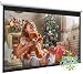Projector Screen 100 Inch 16:9 - Auto-Locking Portable Projection Screen for 4K 3D 1080P HD - Manual Projector Screen Pull Down for Indoor Outdoor Home Theater Office Movies by PERLESMITH primary