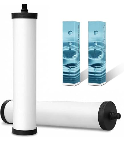 Frc06 Filter Replacement Compatible With Under Sink Filtration System Franke | Desertcart