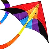 emma kites Reverie 60in Delta Kite Rainbow for Beginner Kids Adults Easy to Fly - RTF Kit Including Kite Tail & 320ft Kite String - for Spring Breeze, Outdoor Games Activities