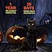 Cat Bat Costume,Halloween Cat Bat Wings for Pets,Cat Halloween Collar Pet Apparel for Small Dogs and Cats,Comfort Material Pet Costume for Halloween (Cat Bat Costume)