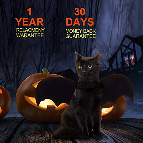 CRANACH Cat Bat Costume,Halloween Cat Bat Wings for Pets,Cat Halloween Collar Pet Apparel for Small Dogs and Cats,Comfort Material Pet Costume for Halloween (Cat Bat Costume) - Thumbnail 5