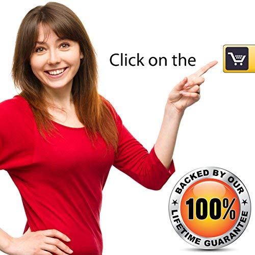 6 Moldex+Soft+Plugs+Pairs+Earplugs