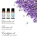 Essential Oils by Mooka, Top 6 100% Pure Therapeutic Grade Aromatherapy Essential Oil Set & Kit for Diffusers (Lavender, Tea Tree, Eucalyptus, Lemongrass, Sweet Orange, Peppermint) w/Free E-Book
