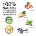 Relaxation And Stress Relief Essential Oil For Stress Reduction Anxiety Relief Natural Calm Aromatherapy Deep Sleep Every Night - 100% Pure Therapeutic Grade - 15ml Escape Blend by Cure Oils