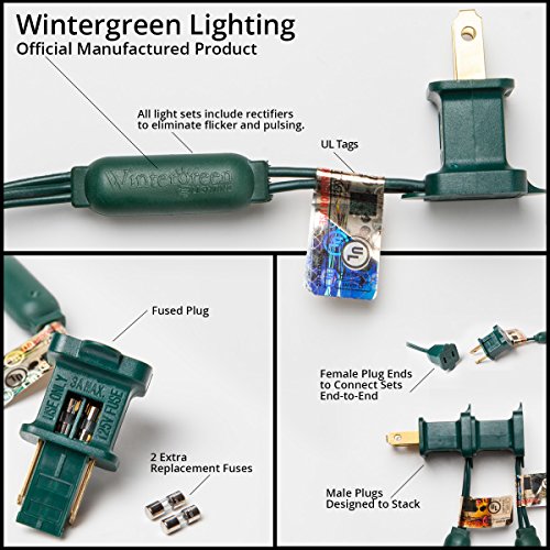 C7 LED Faceted Multicolor Prelamped Light Set, Green Wire - 25 C7 Multi Color LED Christmas Lights, 8" Spacing
