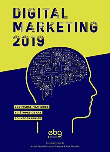 Digital Marketing 2019: 200 FICHES PRATIQUES 60 ETUDES DE CAS 20 INFOGRAPHIES (La série des petits livres rouges du marketing interactif) (French Edition) by Nicolas Deroualle, Laetitia Theodore
