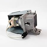 Optoma HD141X Projector Housing with Genuine Original OEM Bulb