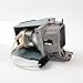 Optoma HD141X Projector Housing with Genuine Original OEM Bulb