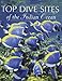Top Dive Sites of the Indian Ocean by