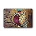 Shirley's Door Mats Cute Owl Doormat Non slip Floor Mat Durable Fabric Doormat Bathroom Kitchen Decor Area Rug/Floor Mat 23.6 X 15.7 Inch