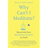 Why Can't I Meditate?: How to Get Your Mindfulness Practice on Track