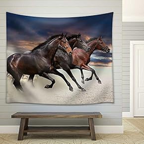 Horses Running at a Gallop Along The Sandy Field - Fabric Wall Tapestry Home Decor - 51x60 inches