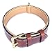 Soft Touch Collars Padded Leather Dog Collar, Large Brown, Real Genuine Leather, 24