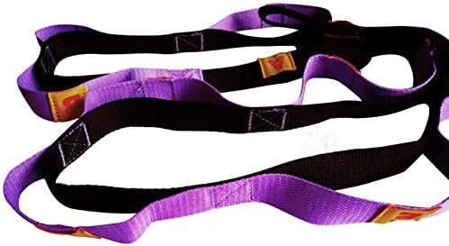 Rovive Exercise Fitness Resistance Band Adjustable Bodybuilding Elastic Pull Up Rope Full Body Strength Training Stretch Workout Fitness Band for Yoga Gym