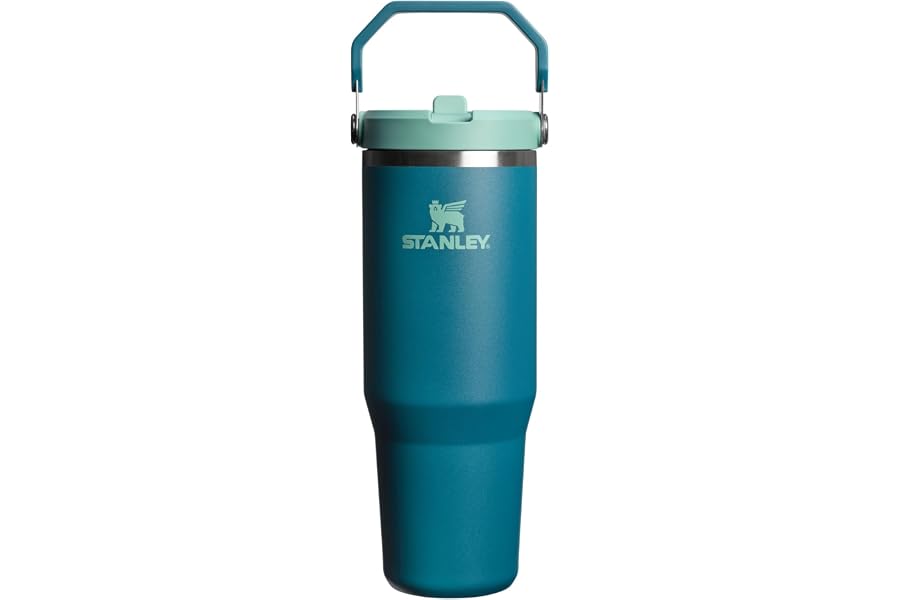 STANLEY IceFlow 2.0 Flip Straw Tumbler with Handle 30 oz | Twist On Lid and Flip Up Straw | Leak Resistant Water Bottle | Ins Book