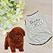 Summer Apparel Puppy Dog 2014 new fashion pet clothes dog casual vest cute