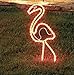 Flamingo - 24 Inch Tropical Lighted Pink Flamingo - Light Outdoor Yard Art