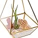 Mindful Design Glass Terrarium - Geometric Large Diamond Desktop Garden Planter (Gold)
