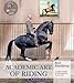 Academic Art of Riding: A riding method for the ambitious leisure rider