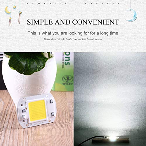 30W COB LED Chip F6040 AC110V AC220V Input IP63 Smart Integrated High Luminous LED Chip for DIY LED Floodlight - ColdWhit