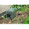 Defenders-VIC0068-Rat-and-Squirrel-Cage-Trap-Humane-Easy-to-Bait-and-Set-Long-Lasting-Galvanised-Mesh-Silver Defenders Rat and Squirrel Cage Trap (Humane, Easy to Bait and Set, Long-Lasting Galvanised Mesh), Silver, STV088, One…