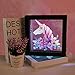 Unicorn LED Luminous Wall Hanging 3D Magic Night Lamp Photo Frame Lamp Unicorn Gift Party Supplies USB/Battery Opearted Lamp Living Room Bedroom Birthday Party Gifts (Warm White)